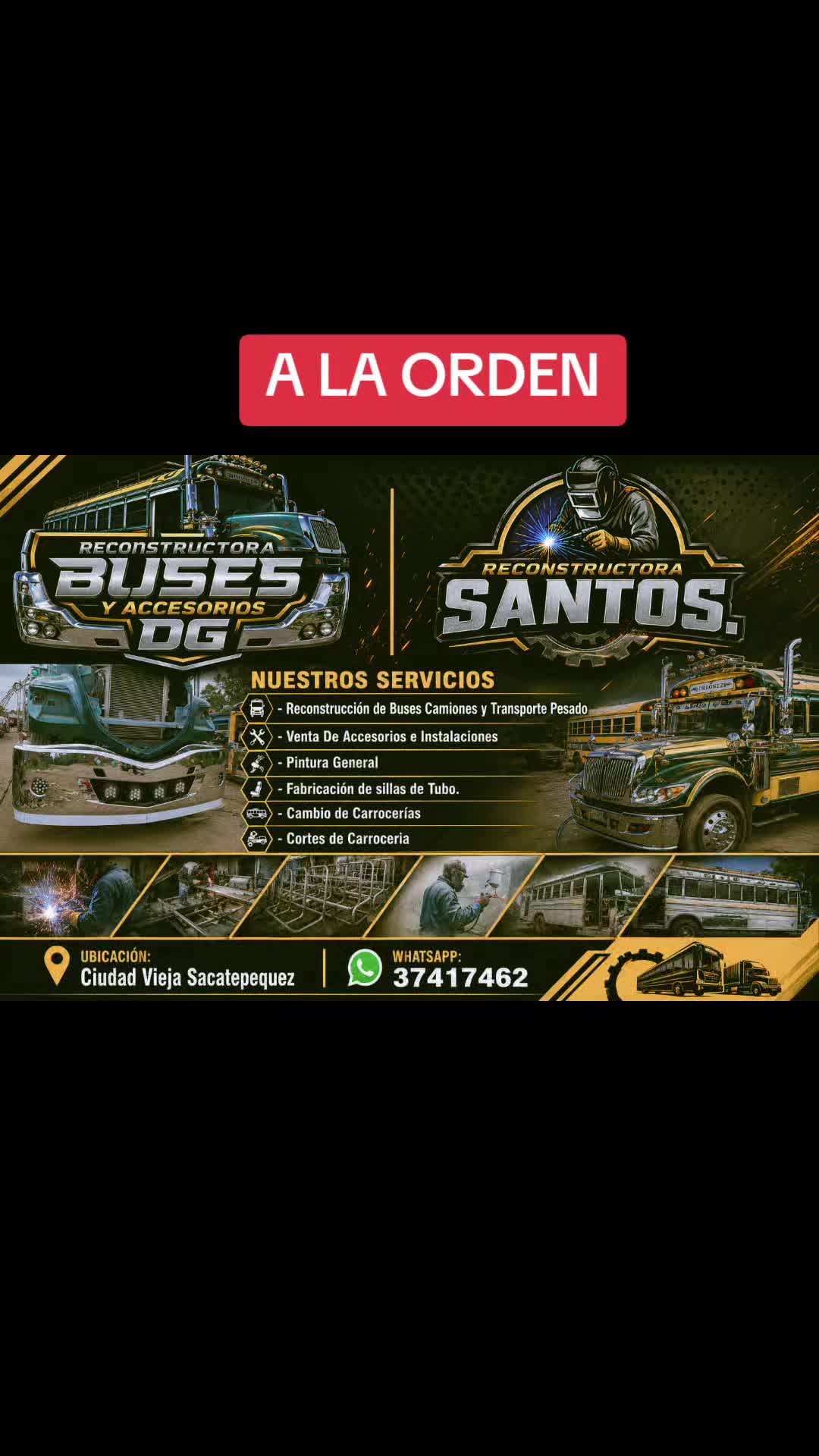 @Buses y Accesorios DG
