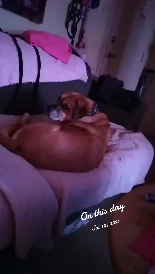 @Robinlynne aka 💕 Mimi 💕