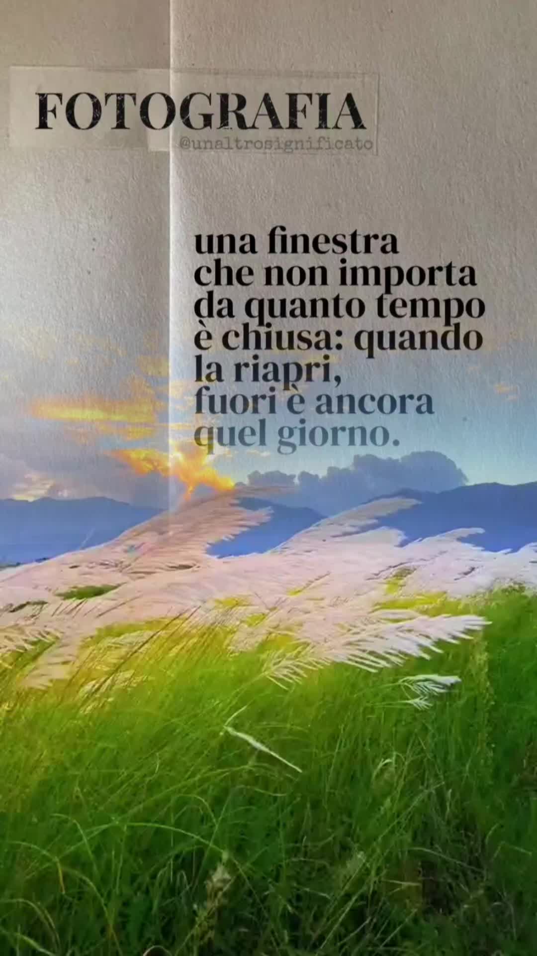 @Barbara Cirillo