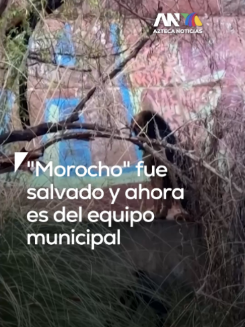 @Azteca Noticias