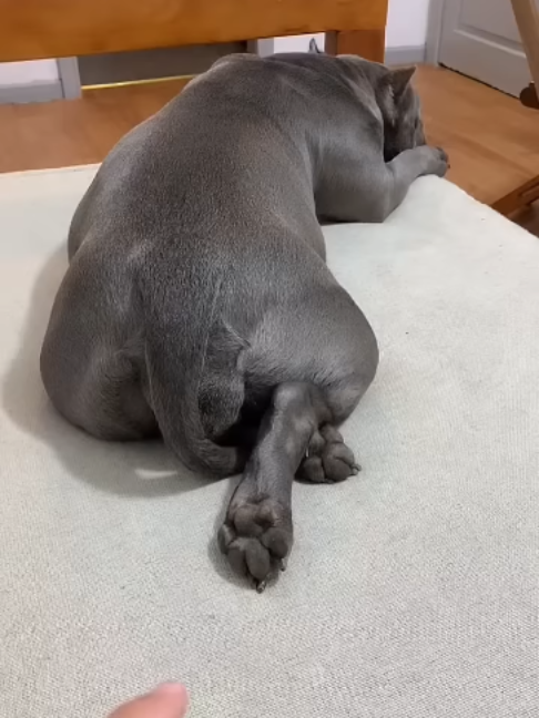 @uxifnfsiyyn