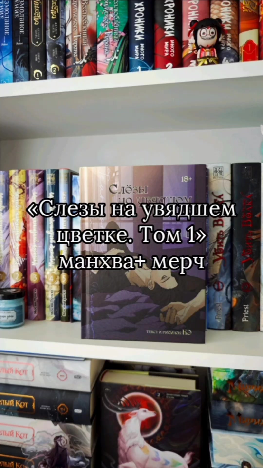 @Flash Nastya