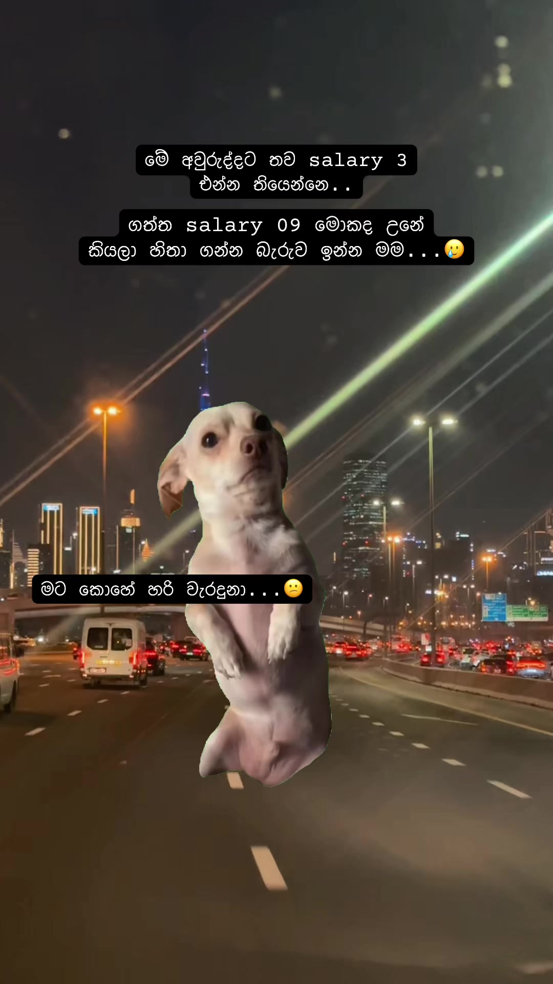 @🇱🇰 චමුවා 🇦🇪