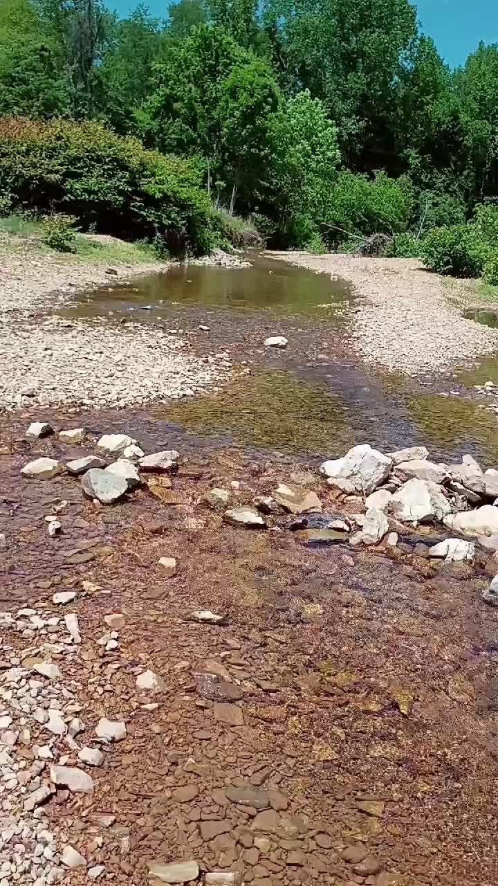 @dambardhungal