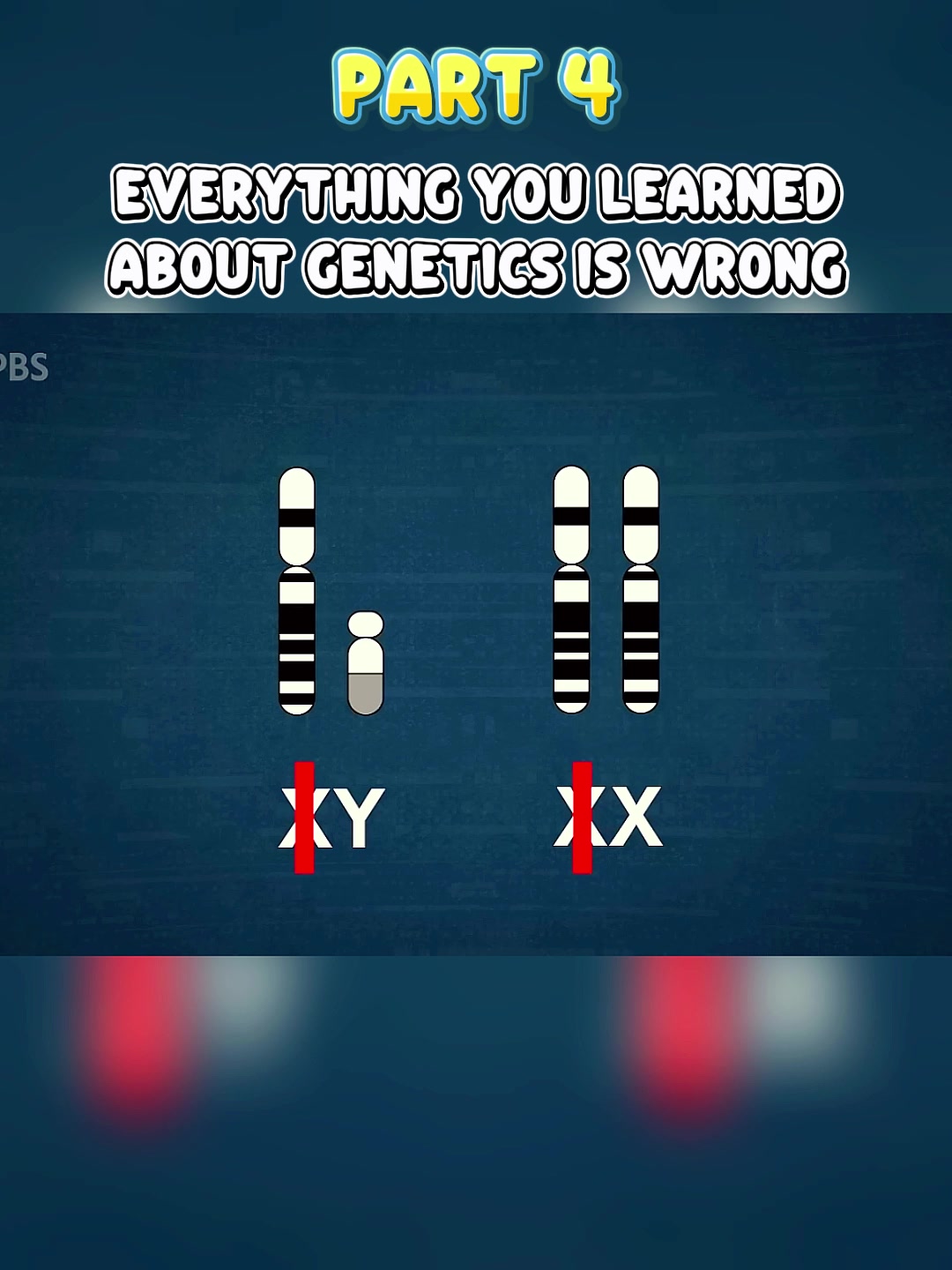 @Steven