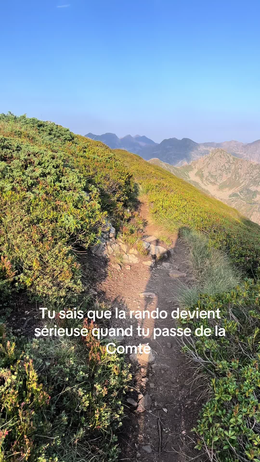 @leolmsl
