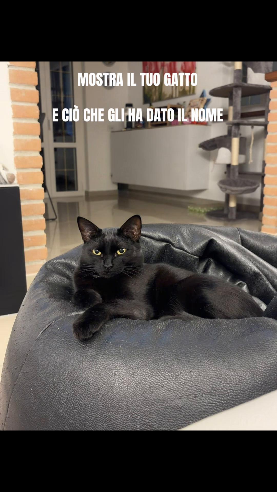 @SabriCarella