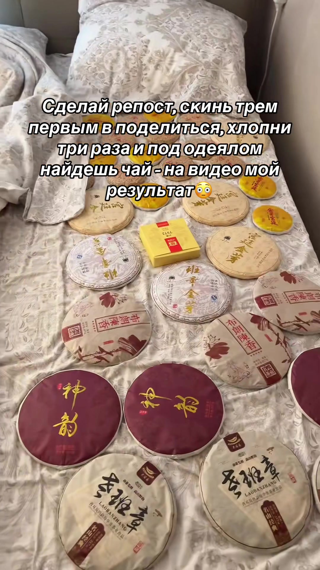 @Chai_Yun🍵