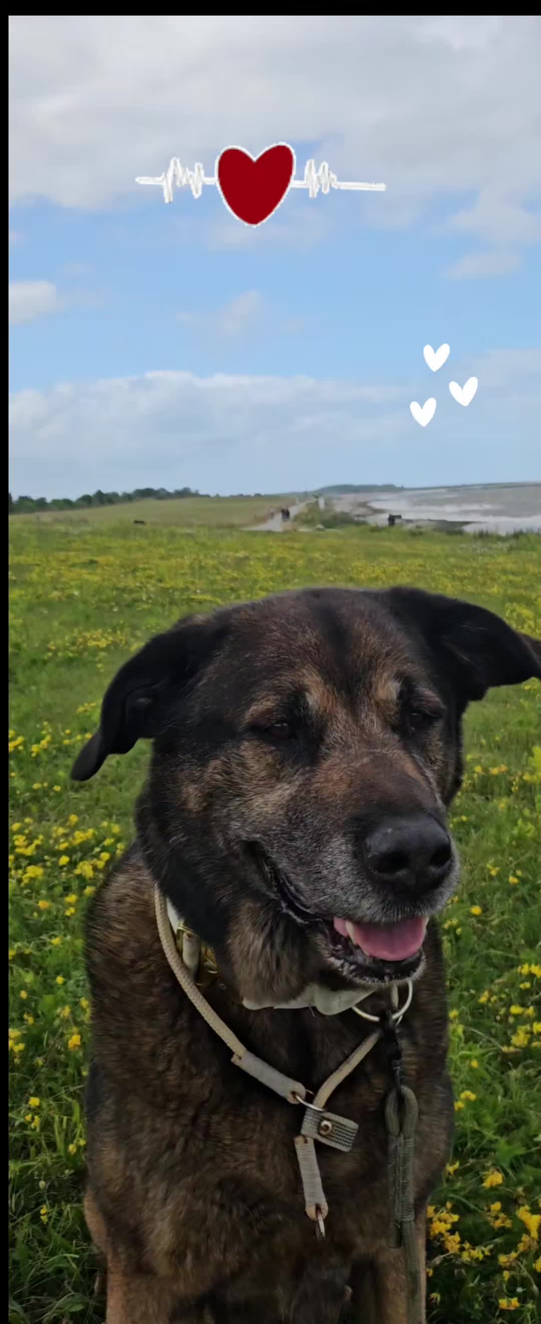 @💝Olle💜Emma🤎Fritz💟Mutti💌