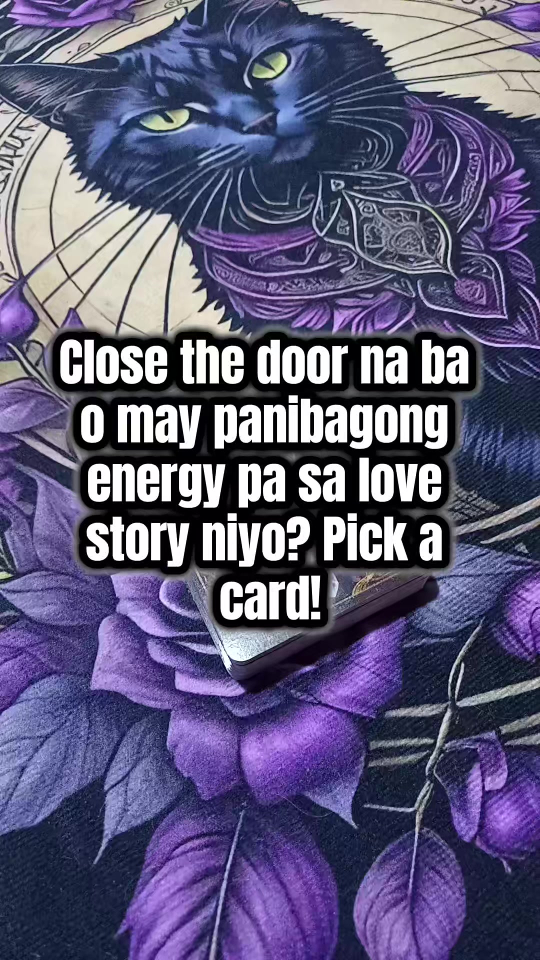 @Marie Tarot Reader