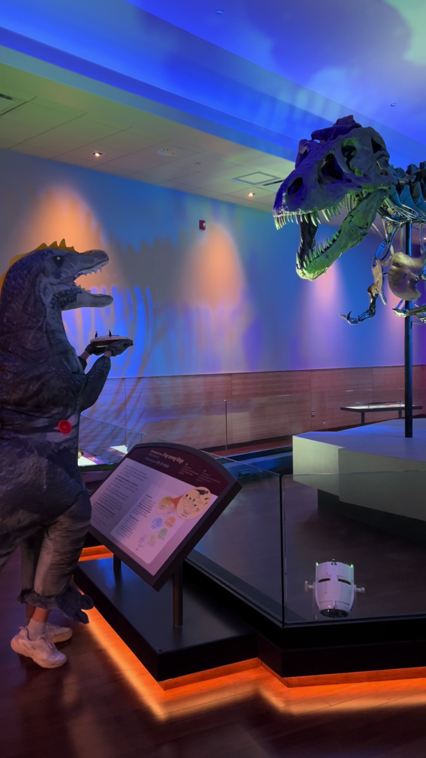 @Field Museum