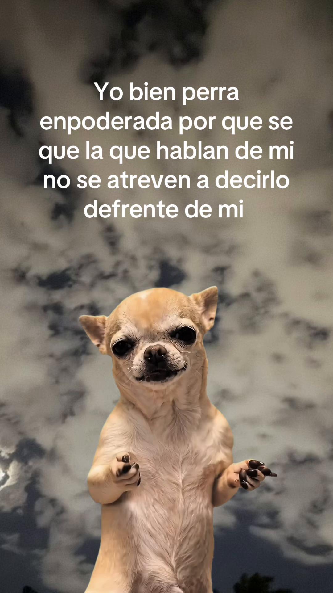 @Melissa Calzadillas