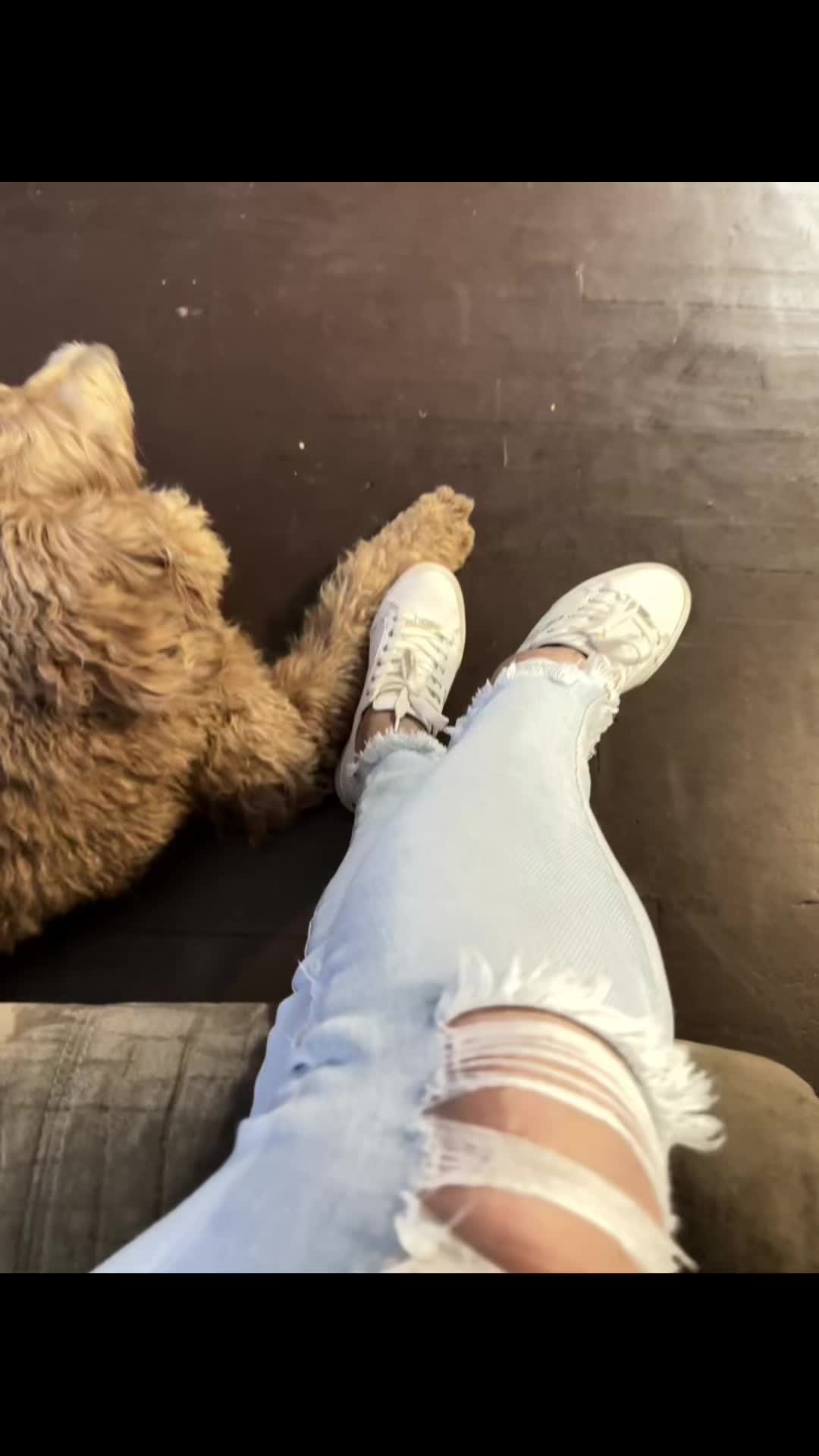 @NicaGmor🐾🇳🇮🐰🦁