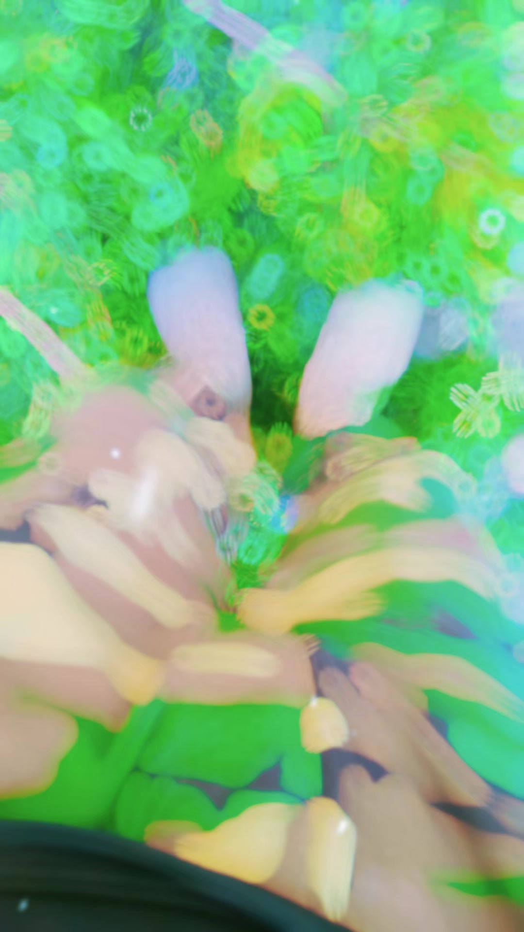 @k p k police k p