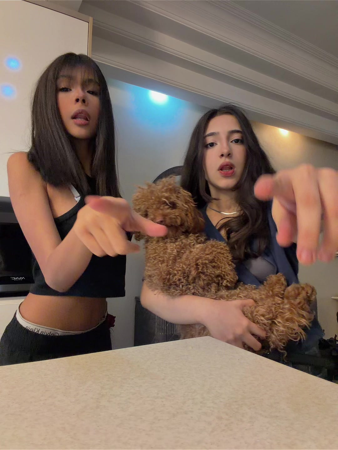 @arshida.exe