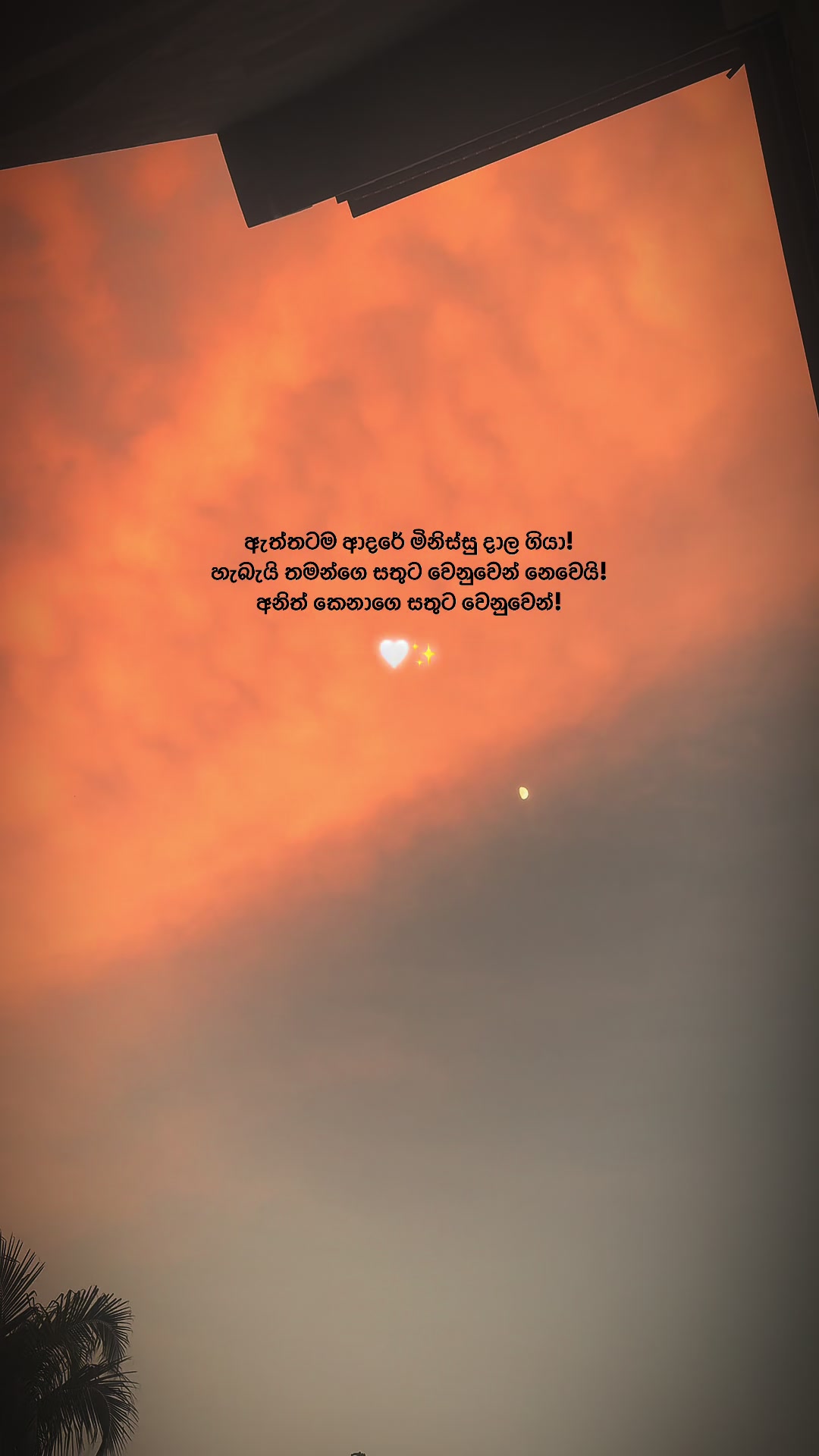 @ꇘ𝕙𝕖𝕨♡
