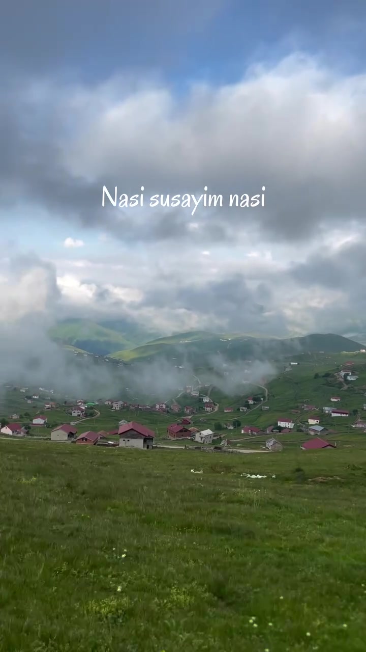 @mavili781