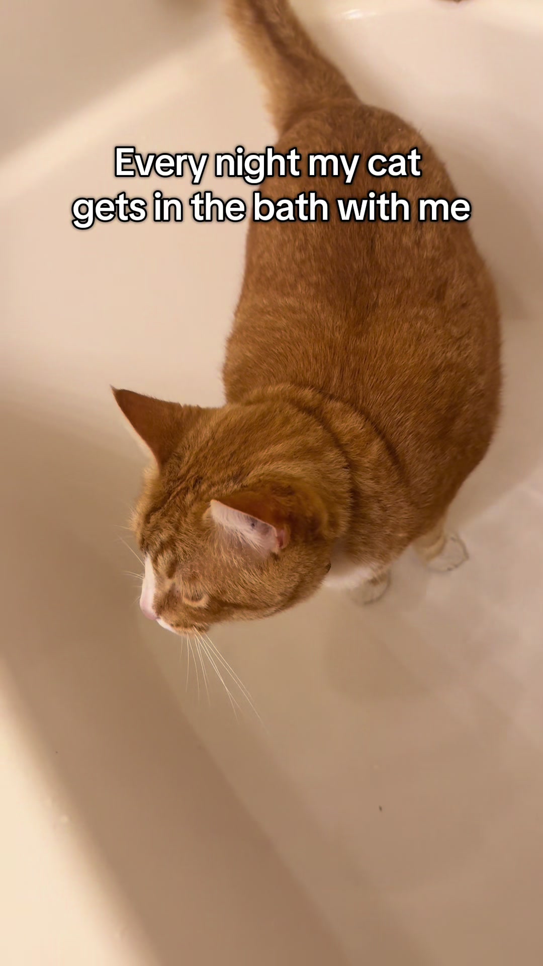 @DooDooCAT