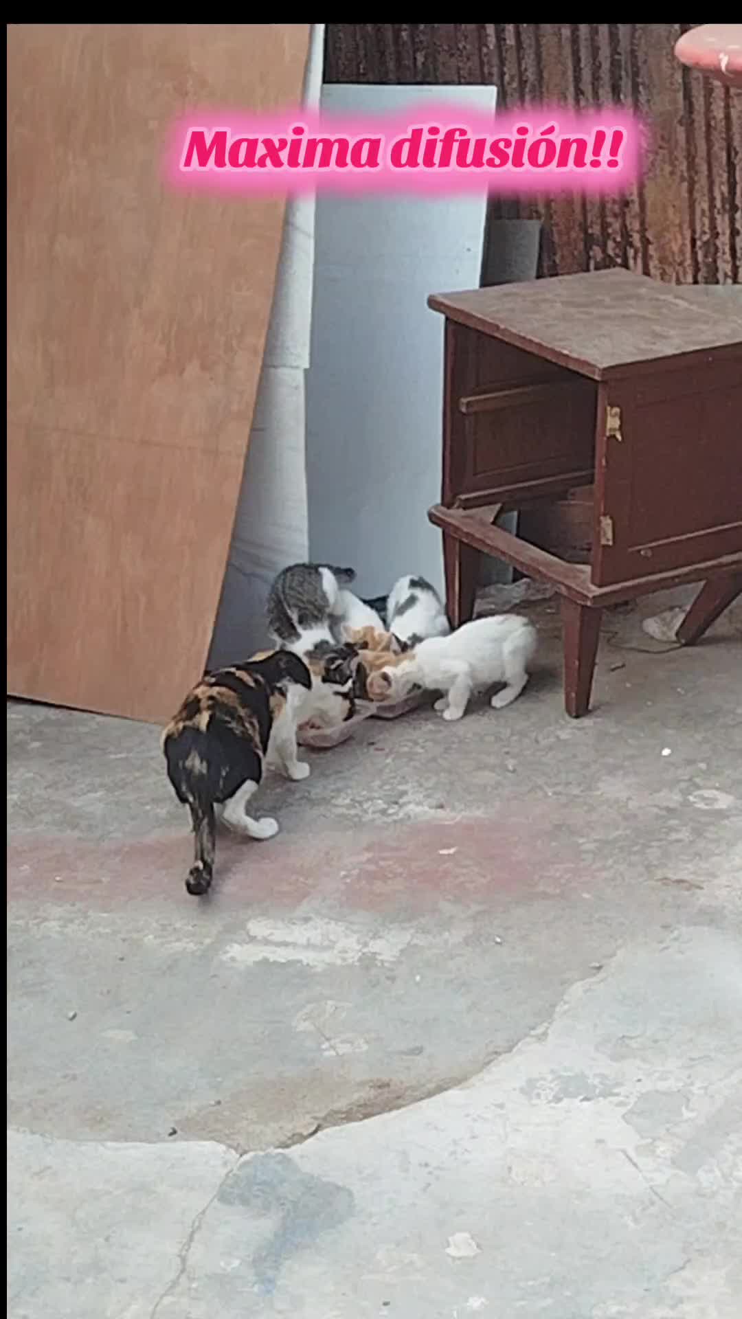 @Lissy Loarte Alvarez