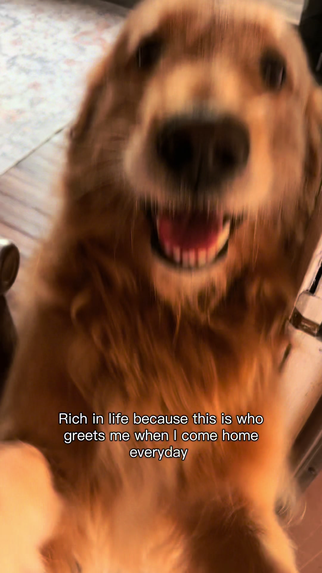 @Leo the Doodle