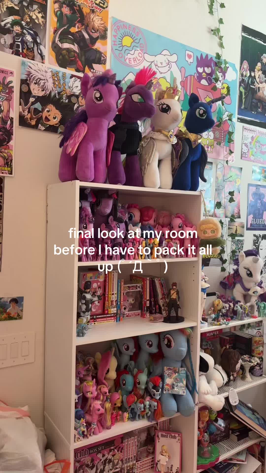 @bronyvillenoob