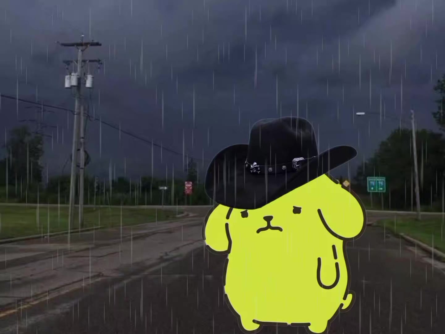 @Pompompurin^^