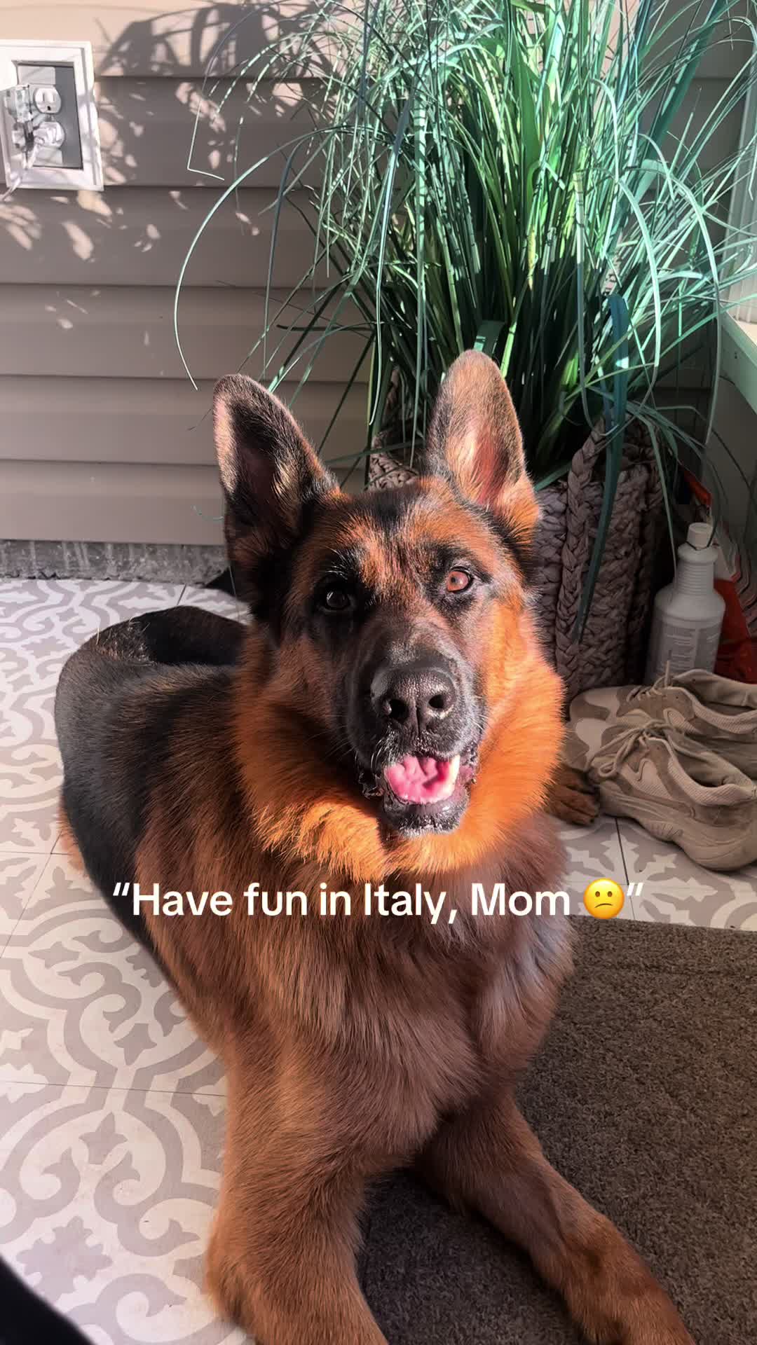 @olyvia.reed
