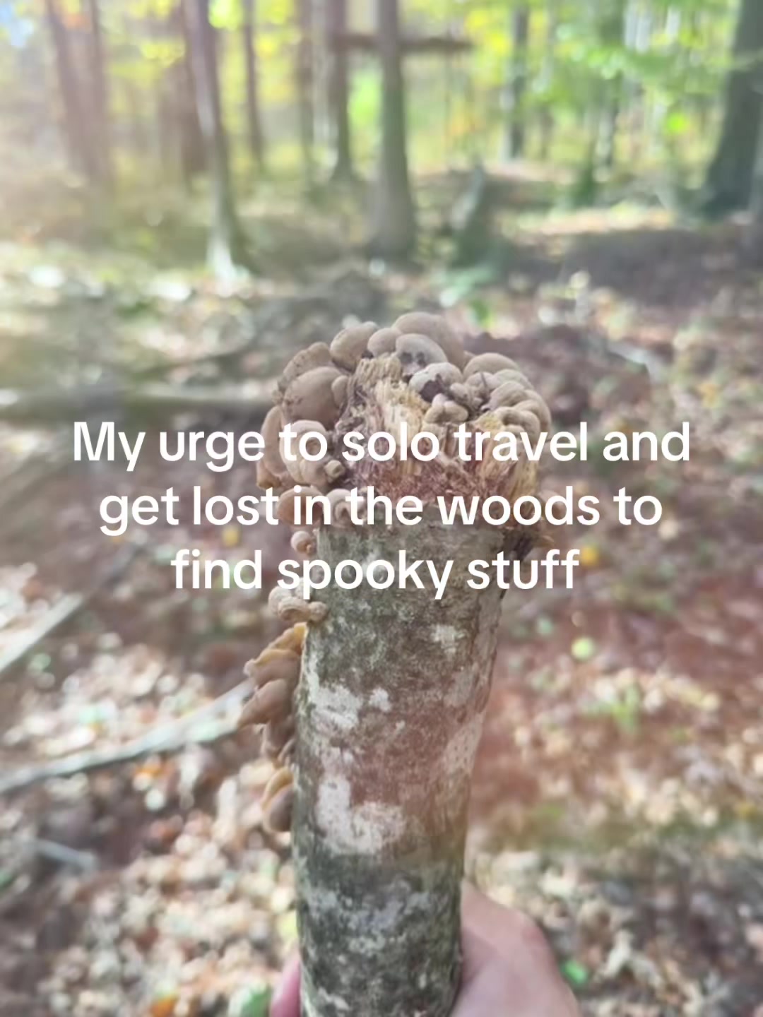@Talkstothewind