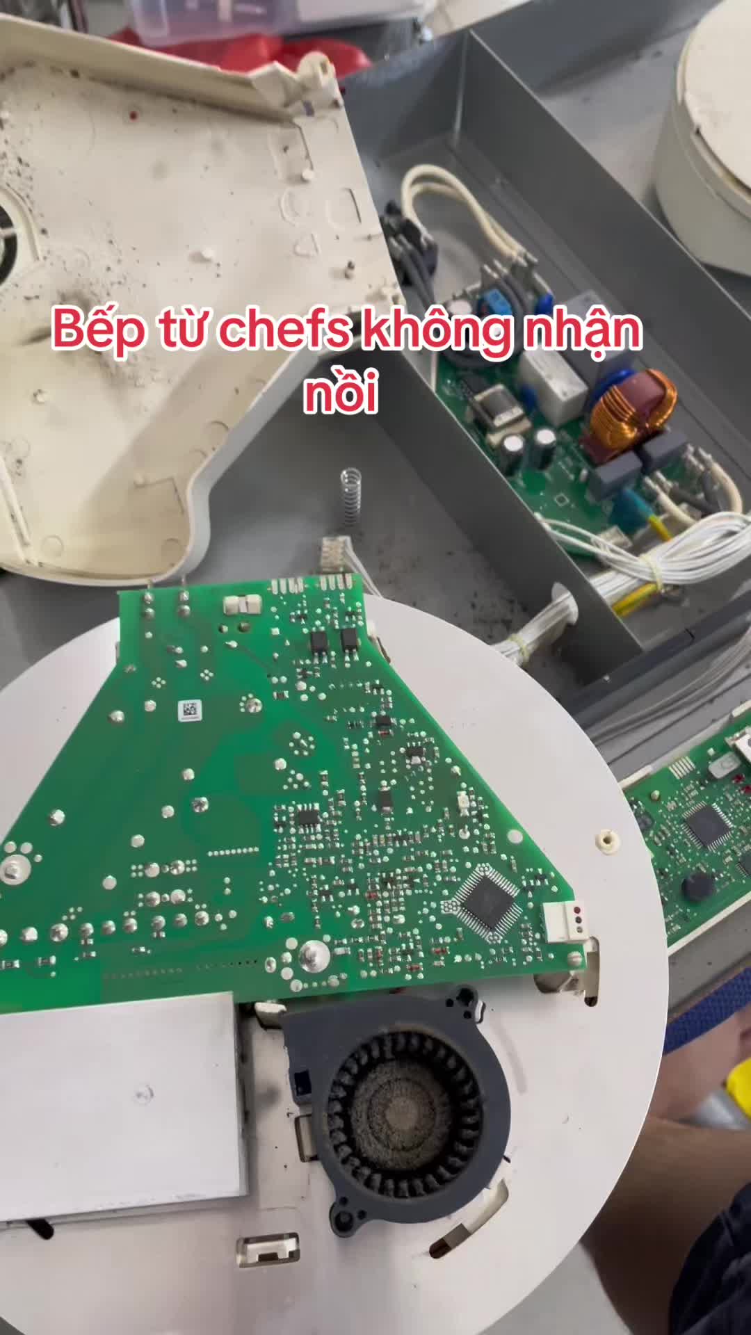 @U40 bắt đầu đi học nghề