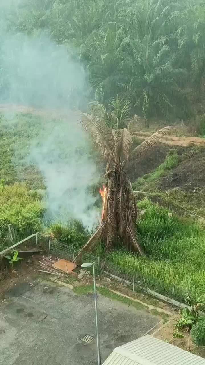 @Farahizzati