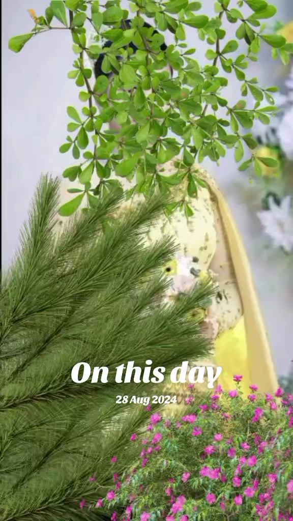 @SofiYa