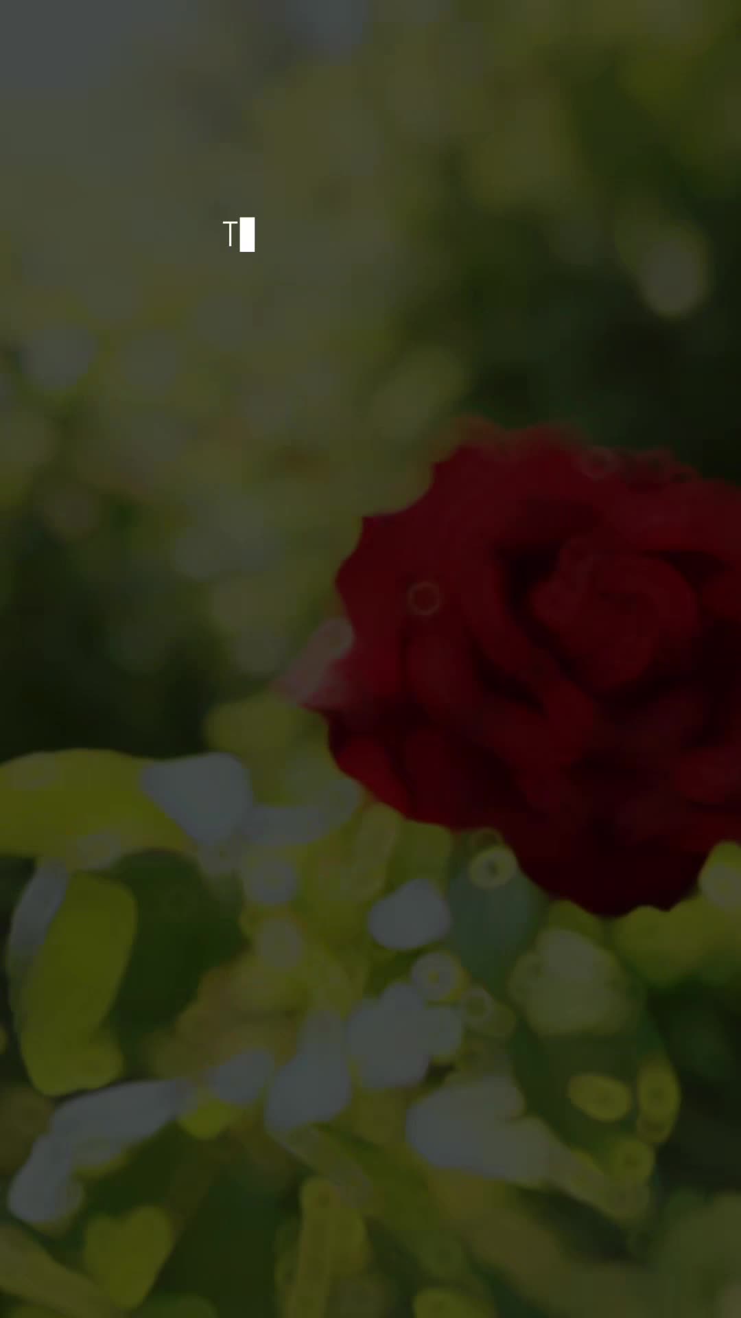 @𝙂𝘭𝒐𝐰𝗡𝐚𝘁𝙪𝐫𝒆𝑨𝗿𝘁 ❀