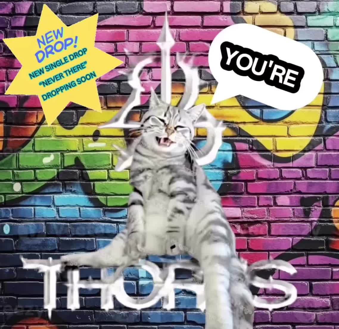 @24 THORNS