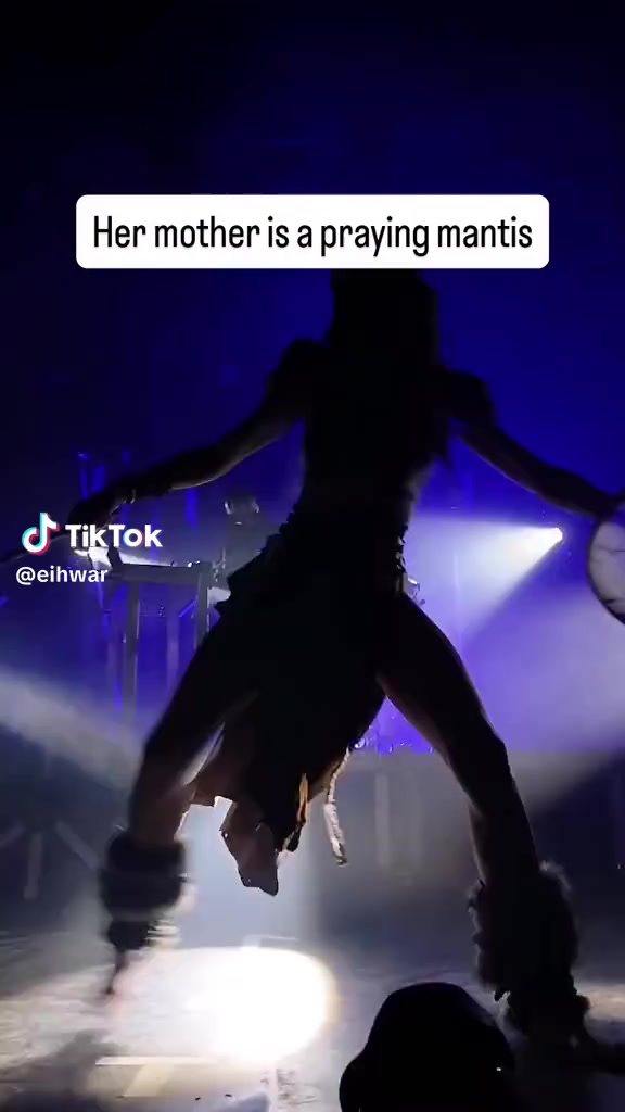 @🖤🖤Momo 🖤🖤