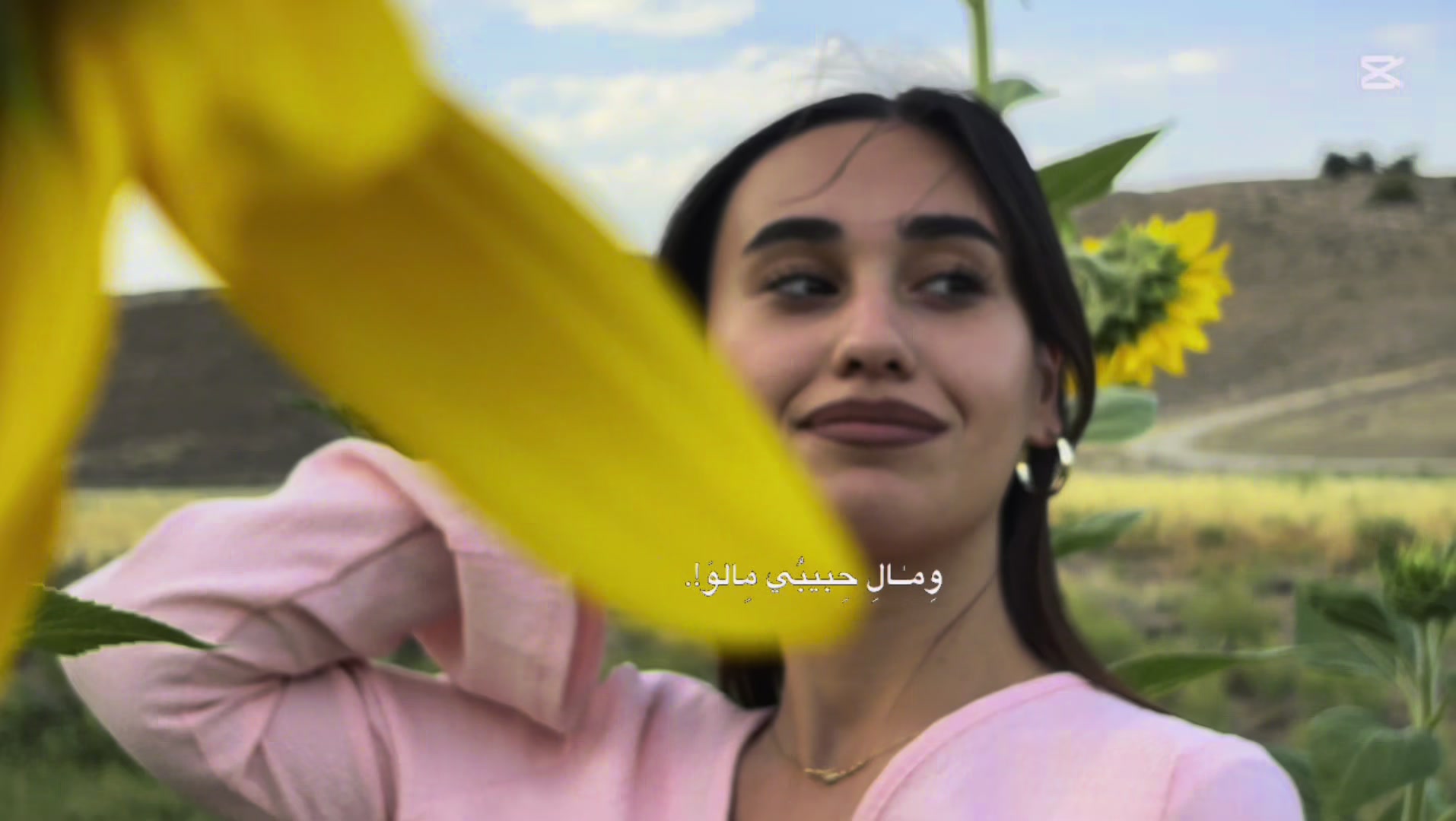 @elnurajafarli