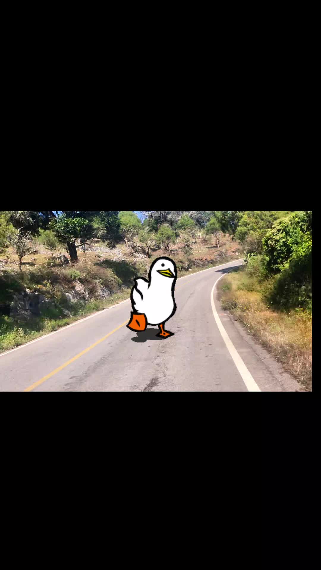 @warzulbiker