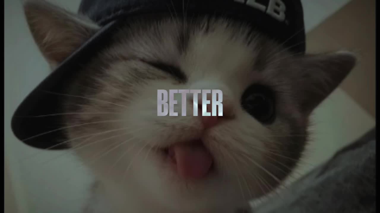 @cat army