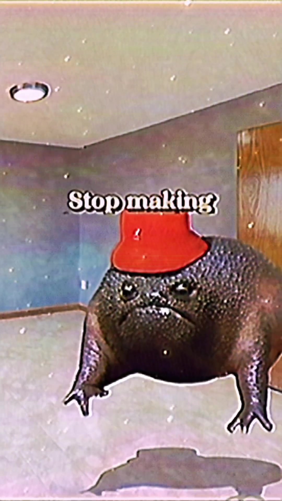@Holy Frog Father