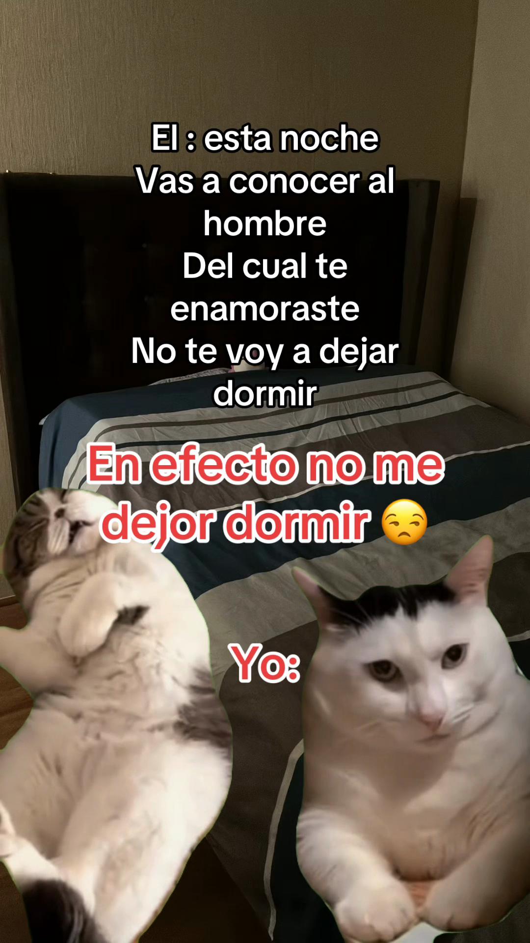 @jansonmania