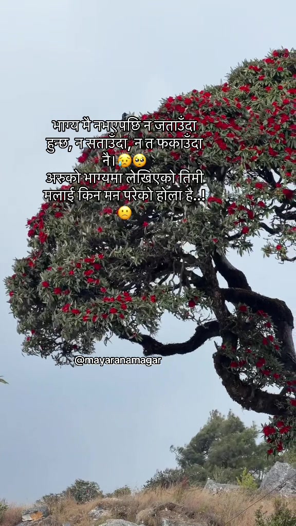 @mayaranamagar555