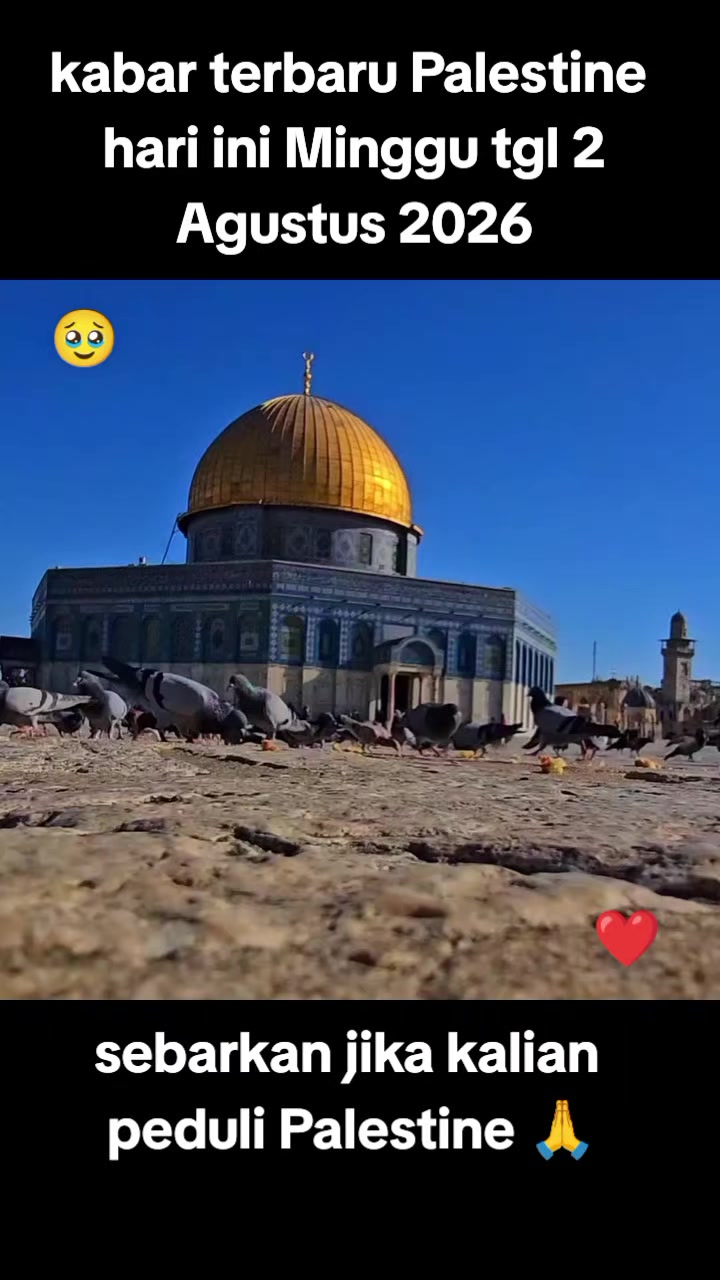 @Palestine 🇵🇸