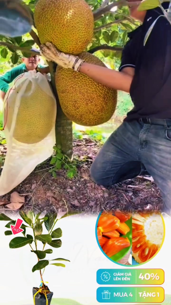 @tới đồ dùng