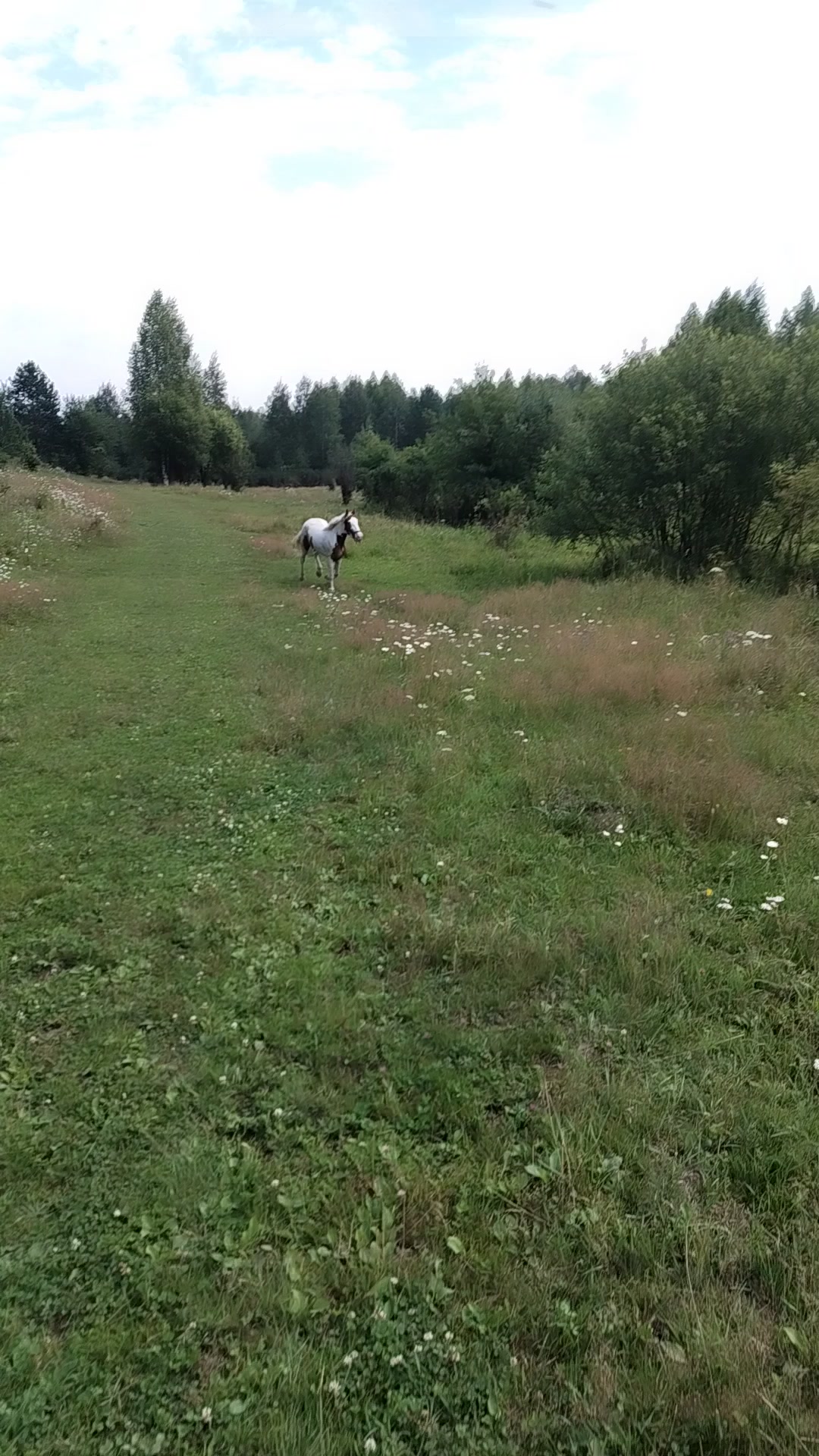 @Бурмакина Дарья