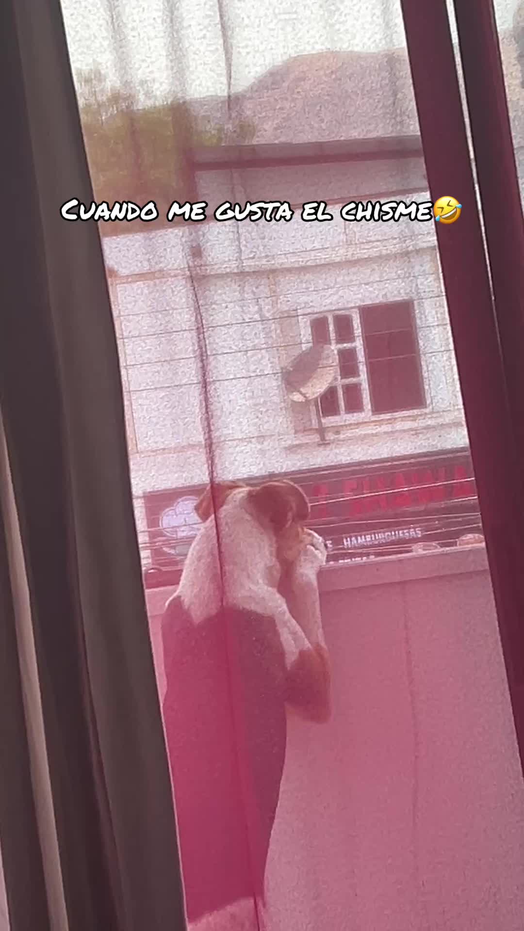 @👻🖤