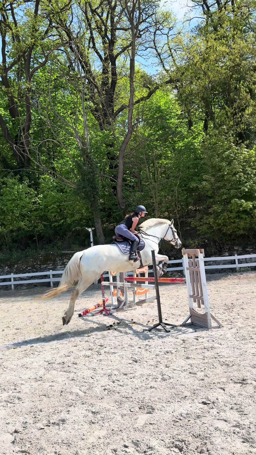 @🐴💗TA OD BELLI I ARY💗🐴
