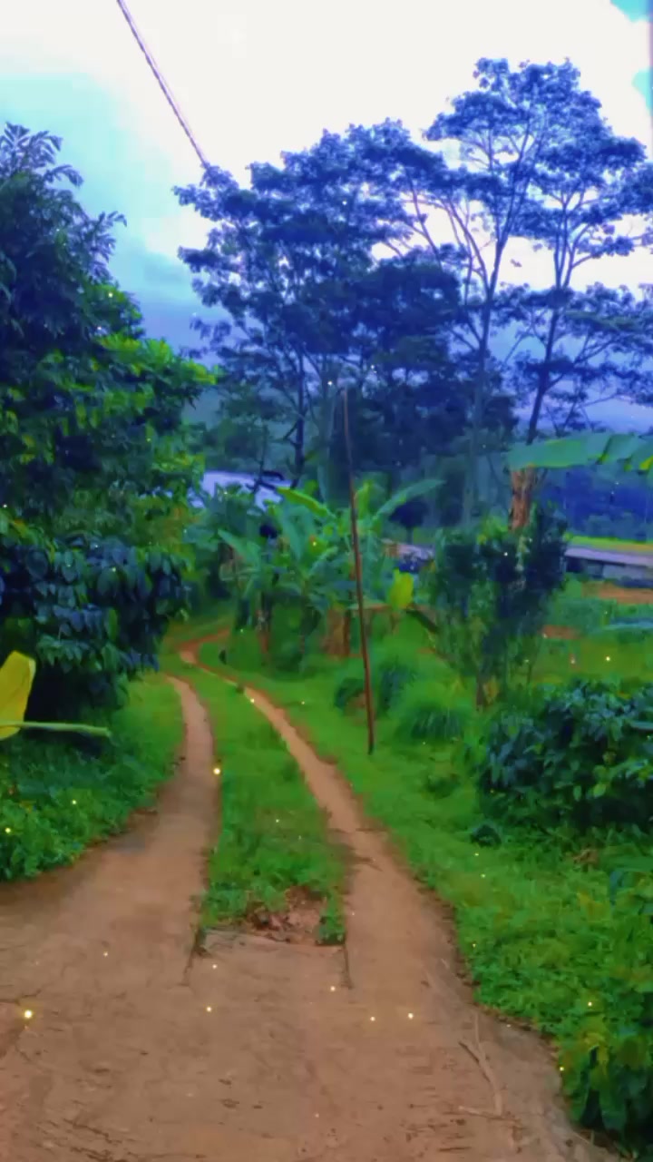 @sirenita del Paraná💗