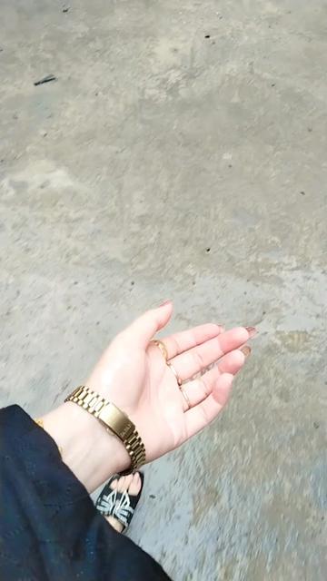 @انَـت الْحیـــاَت🫀🌍✨