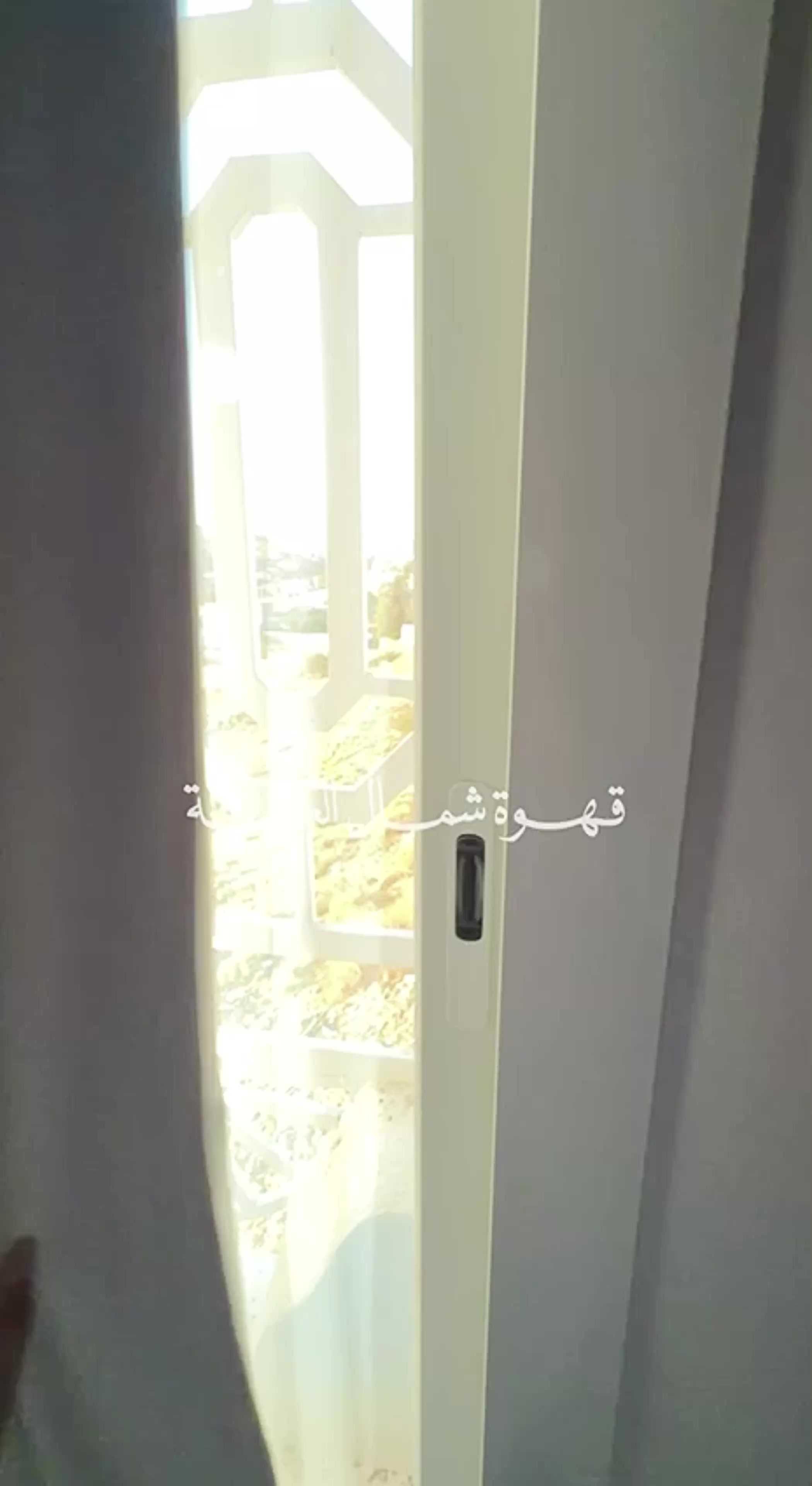 @محمصة شمال 🤎
