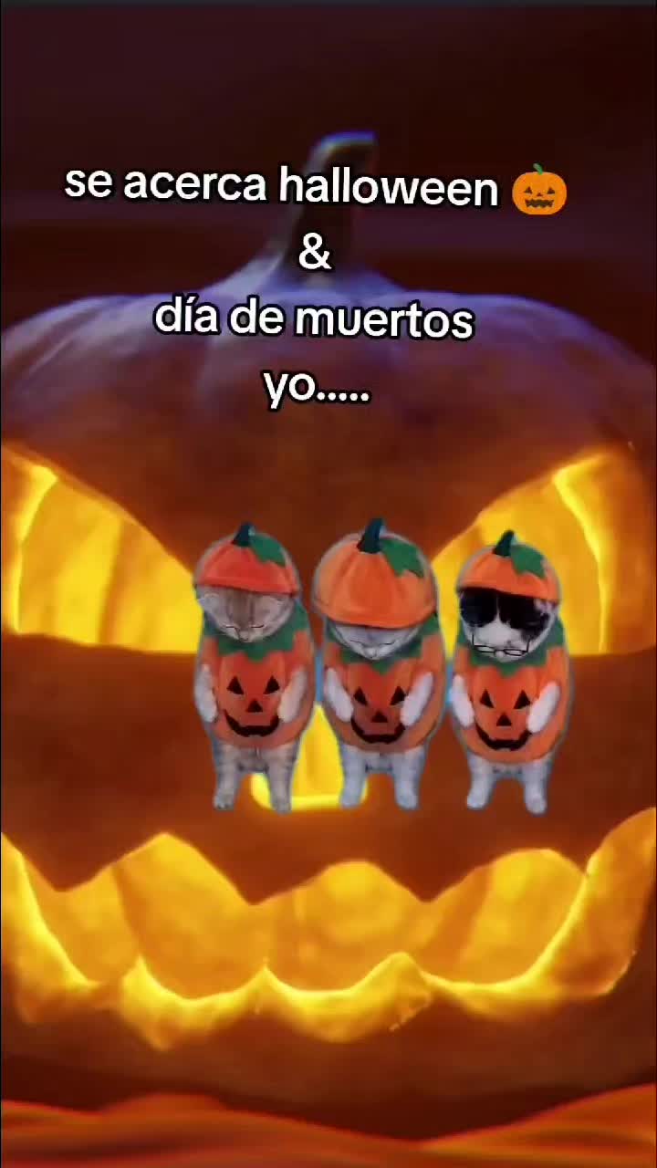 @ardilla89