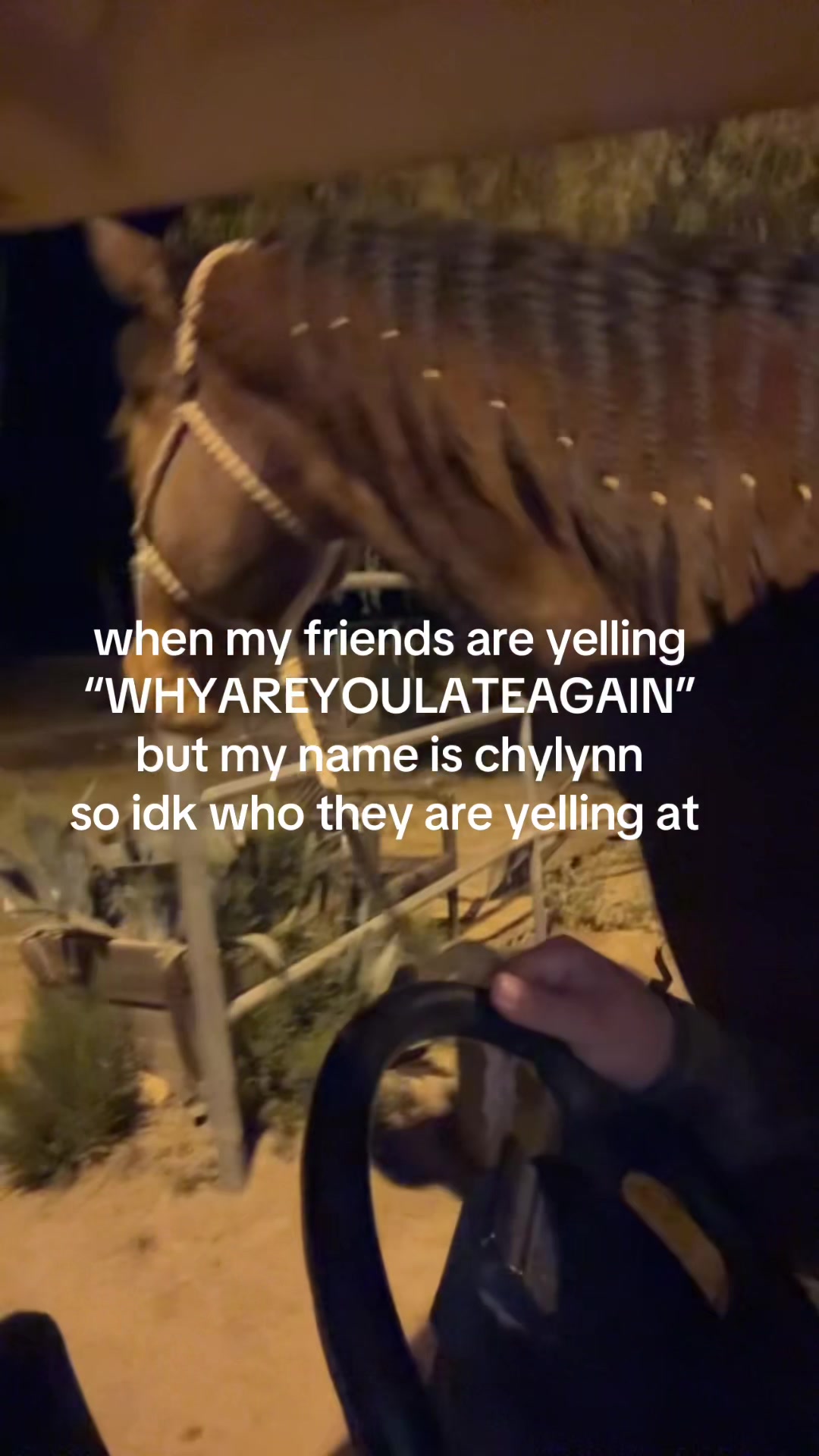 @C H Y L Y N N